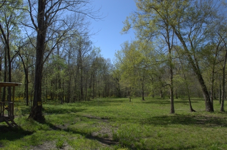 15 Acres of Prime Atchafalaya Basin Hunting Land – Butte La Rose - image 31