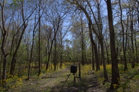 15 Acres of Prime Atchafalaya Basin Hunting Land – Butte La Rose - image 22