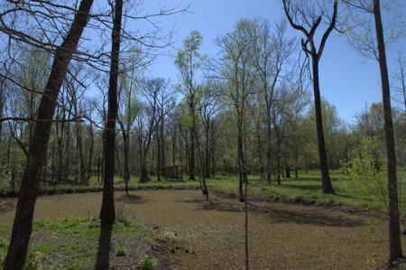 15 Acres of Prime Atchafalaya Basin Hunting Land – Butte La Rose - image 33