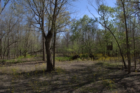 15 Acres of Prime Atchafalaya Basin Hunting Land – Butte La Rose - image 30