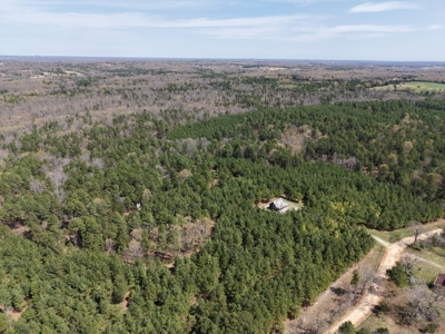 Land With Cabin For Sale In Arkansas - image 18