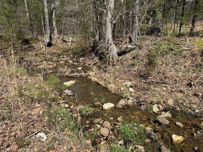 Land With Cabin For Sale In Arkansas - image 10