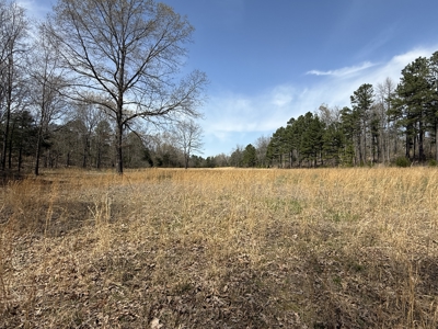 Land With Cabin For Sale In Arkansas - image 11