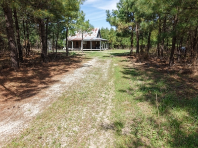Land With Cabin For Sale In Arkansas - image 28