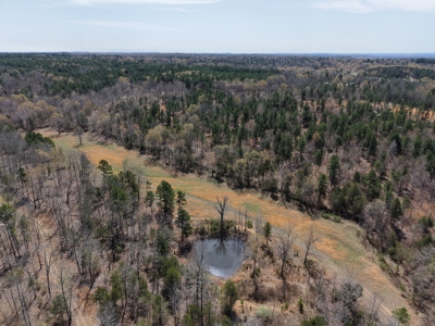 Land With Cabin For Sale In Arkansas - image 23