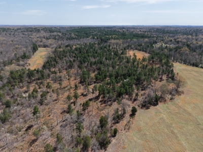 Land With Cabin For Sale In Arkansas - image 22