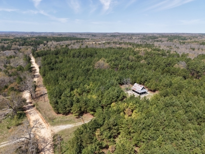 Land With Cabin For Sale In Arkansas - image 15