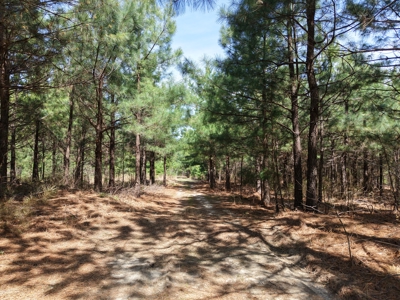 Land With Cabin For Sale In Arkansas - image 32