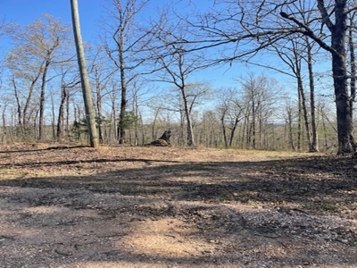 Only 4 Miles To Buffalo National River - image 8