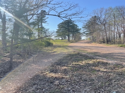 Only 4 Miles To Buffalo National River - image 7