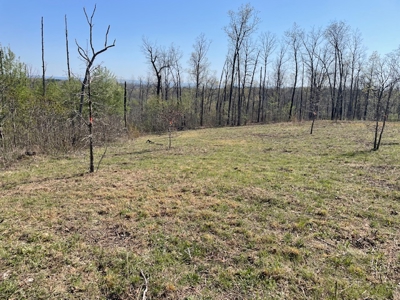 Only 4 Miles To Buffalo National River - image 3