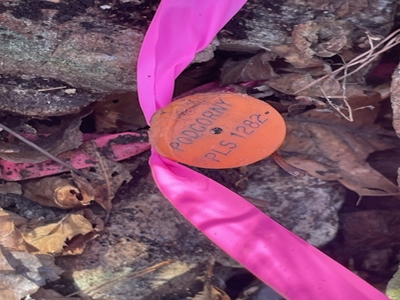 Only 4 Miles To Buffalo National River - image 6