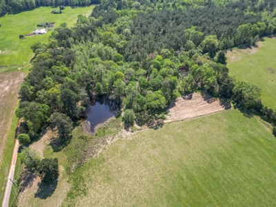 East TX Ranch, Multi-Generational Living, Pasture and Pond - image 10
