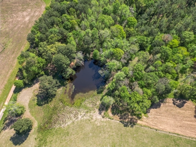 East TX Ranch, Multi-Generational Living, Pasture and Pond - image 9