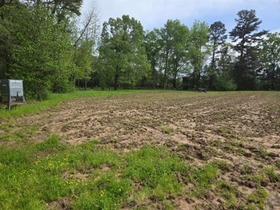 East TX Ranch, Multi-Generational Living, Pasture and Pond - image 46