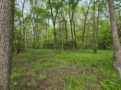 East TX Ranch, Multi-Generational Living, Pasture and Pond - image 44