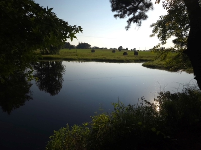 East TX Ranch, Multi-Generational Living, Pasture and Pond - image 41