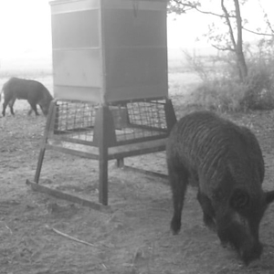 East TX Ranch, Multi-Generational Living, Pasture and Pond - image 45