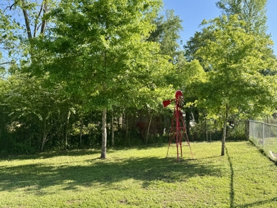 Charming Country Home in Southern Alabama - image 49