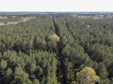 Listing 74