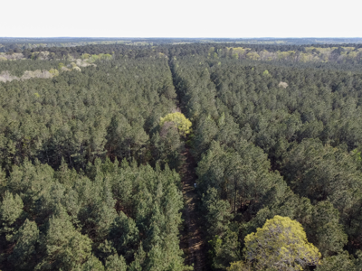 Longstraw 160 - Jackson Parish Timber - image 25