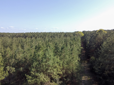 Listing 74