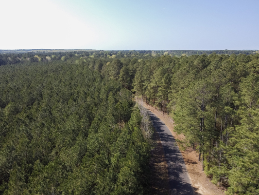 Longstraw 160 - Jackson Parish Timber