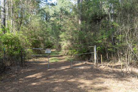 Longstraw 160 - Jackson Parish Timber - image 38