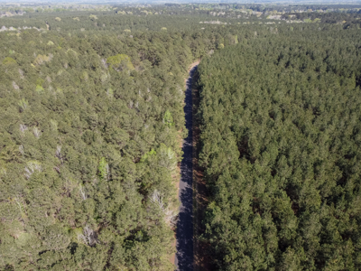 Longstraw 160 - Jackson Parish Timber - image 20