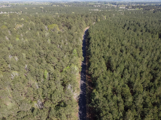 Longstraw 160 - Jackson Parish Timber