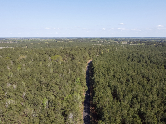 Longstraw 160 - Jackson Parish Timber