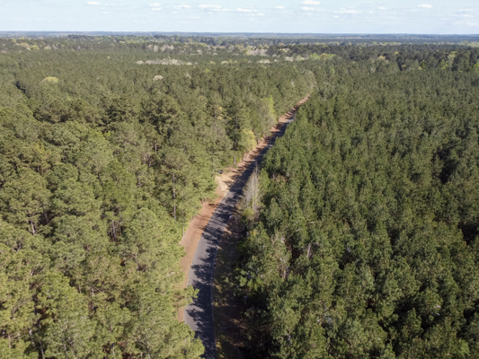 Longstraw 160 - Jackson Parish Timber