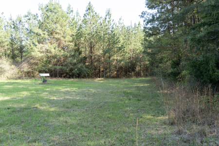 Longstraw 160 - Jackson Parish Timber - image 1