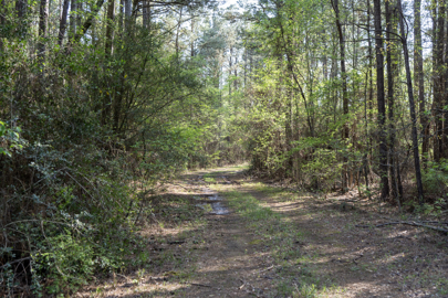 Listing 74