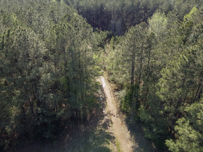 Longstraw 160 - Jackson Parish Timber - image 21