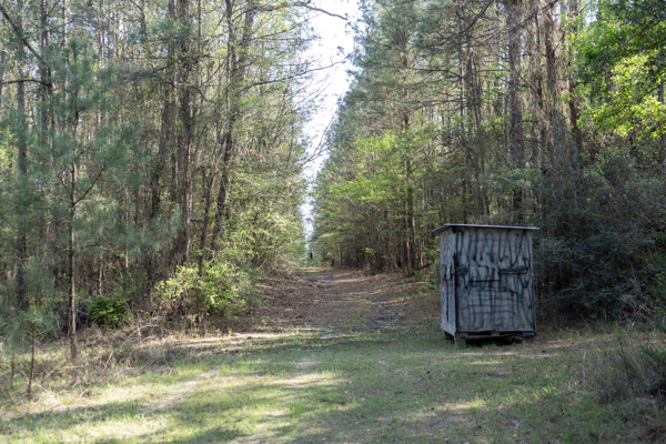 Longstraw 160 - Jackson Parish Timber