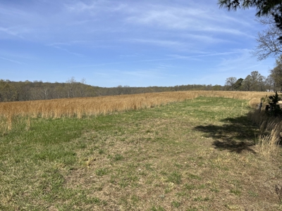 Land for Sale in the Northern Arkansas Ozarks - image 4