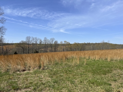 Land for Sale in the Northern Arkansas Ozarks - image 6