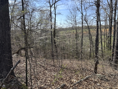 Land for Sale in the Northern Arkansas Ozarks - image 7