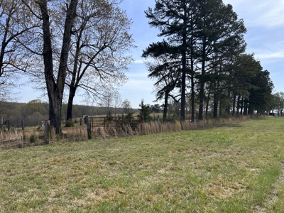 Land for Sale in the Northern Arkansas Ozarks - image 5