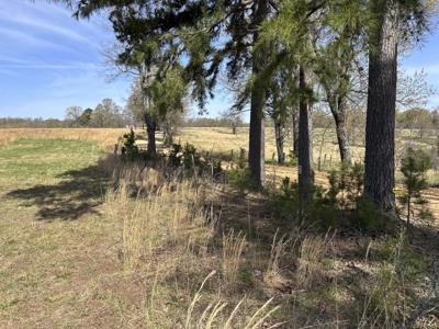 Land for Sale in the Northern Arkansas Ozarks - image 2