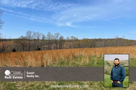Land for Sale in the Northern Arkansas Ozarks - image 1