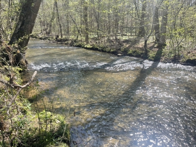 Country Home For Sale in Leoma TN - image 42