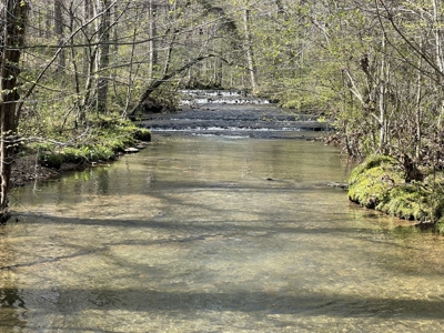 Country Home For Sale in Leoma TN - image 43