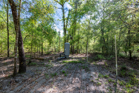 4 Bedroom, 2 Bath on 6.3 Wooded Acres – Live Oak, FL! - image 42