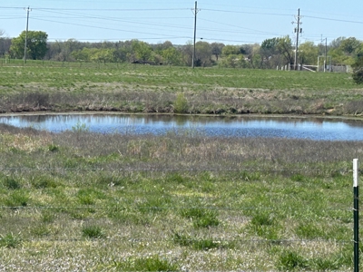 Auction, Residential, Pond, Farm, NE OK, Spring River, 30 Acres - image 9