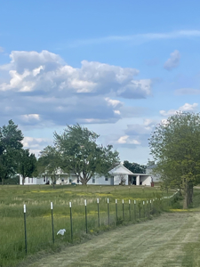 Auction, Residential, Pond, Farm, NE OK, Spring River, 30 Acres - image 12