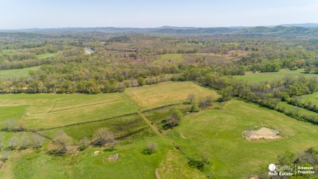 Rare Ouachita Riverfront Property – 44 Acres of Prime Land - image 9