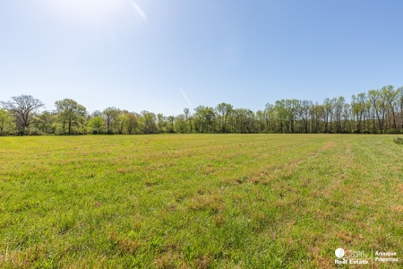 Rare Ouachita Riverfront Property – 44 Acres of Prime Land - image 2