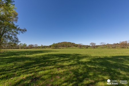 Rare Ouachita Riverfront Property – 44 Acres of Prime Land - image 8